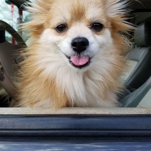 Meet your Posher, Justen